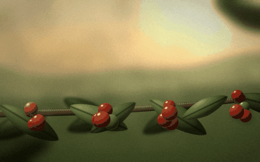 Animated scene of coffee cherries growing on a shaded hillside plant